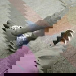 Hanifah Ummanya Uzayr profile icon