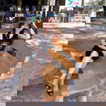 Hạnh Nguyễn profile icon