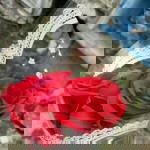 Yrahm Yrahm profile icon