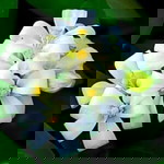 ยาย น้ำชา profile icon