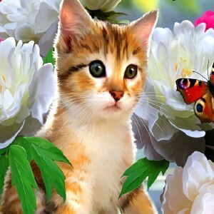 Suhana Sue profile icon