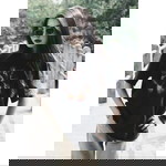 MayNy Chalisa profile icon