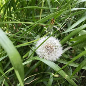 Keattiporn profile icon