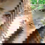 Aicneger GheAil profile icon