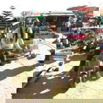 Paweena Jantapitak profile icon