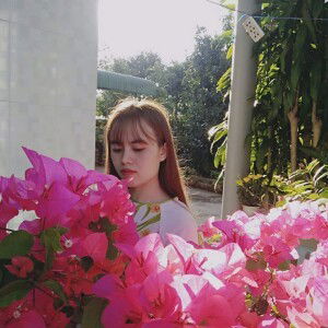 TRAN THI VAN KHUYEN  profile icon