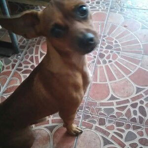 อิมมี้ ชอบคลาสสิคทำไม profile icon