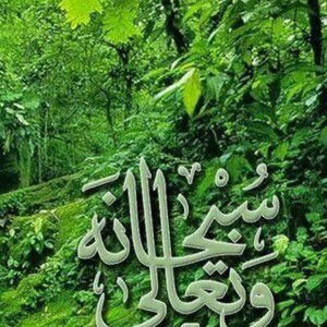 Fadli Nuzul profile icon