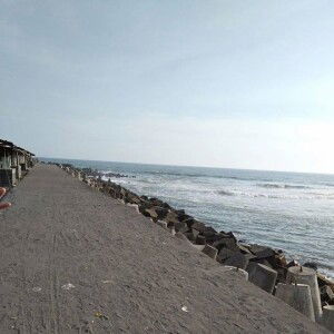 Nanik Purwanto profile icon