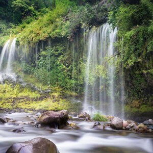 Wenifitri profile icon