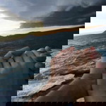 Trần Thu profile icon