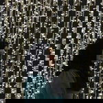 Anne Kohar profile icon