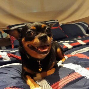 LookPla Noi profile icon