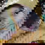 Akifa Naila profile icon