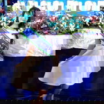 Anielyn Niegas profile icon