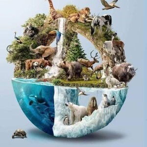 ประเสริฐศักดิ์ แสงเพ็ง profile icon