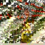 Sandy Wm profile icon