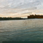 Anne Anugrah profile icon