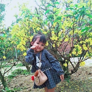 Yến Ly profile icon