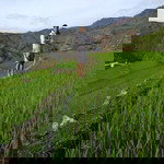 Rupert Atento Mendoza profile icon