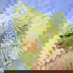 Indry Lestiya profile icon