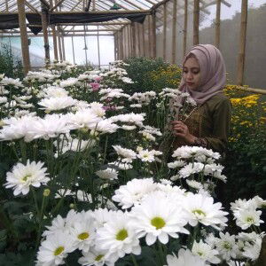 Rina Ashari profile icon