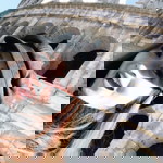 Rismaya Eri profile icon