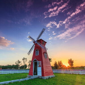 Nueve.N profile icon