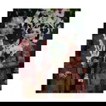 Devina Nandya profile icon