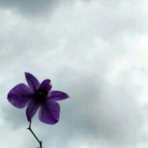 Khoulah Faurina profile icon