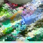 Arief Fadillah profile icon