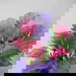 Anjani Naladhipa profile icon