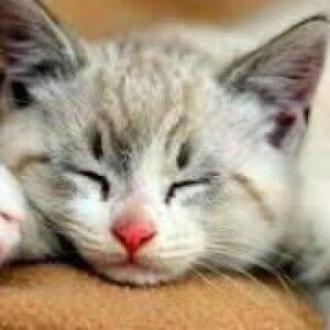 Rizka Annisa profile icon