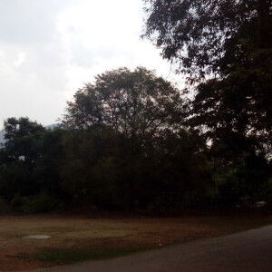 Joel Marvin profile icon