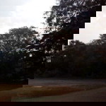 Joel Marvin profile icon