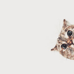 Elsie Sya profile icon