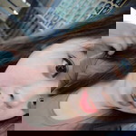 Anisa Nur Anisa profile icon