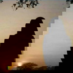 Evita Yulanda profile icon