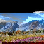 Nabeelah Nabz Parker profile icon