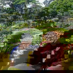 Amelia S profile icon