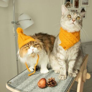 Stephanie Myles A. Raña profile icon