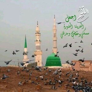 Nur Sa'adah Mas'ud profile icon