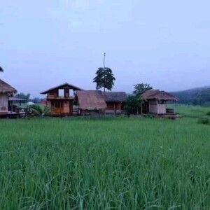 Syifa Uzzahra profile icon