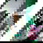 จิราภา มาลัยหวล profile icon