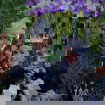 Sari Za Risha profile icon