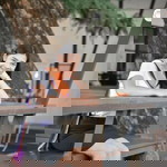 Chanya Niram profile icon