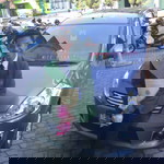 rezza fieltoya profile icon