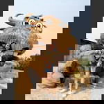 Gingkaew Namui profile icon