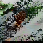 Thanh Le profile icon