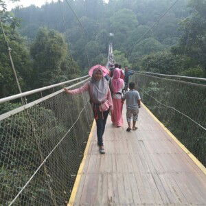 Ami Santoso profile icon